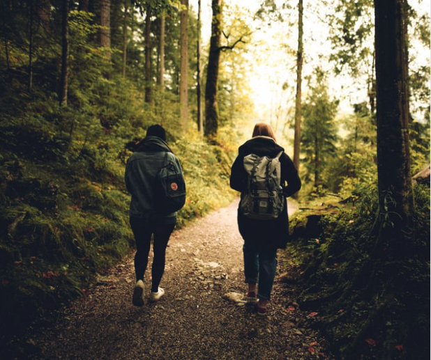 immagine di due persone di spalle che camminano serenamente in un sentiero immerso nel bosco 